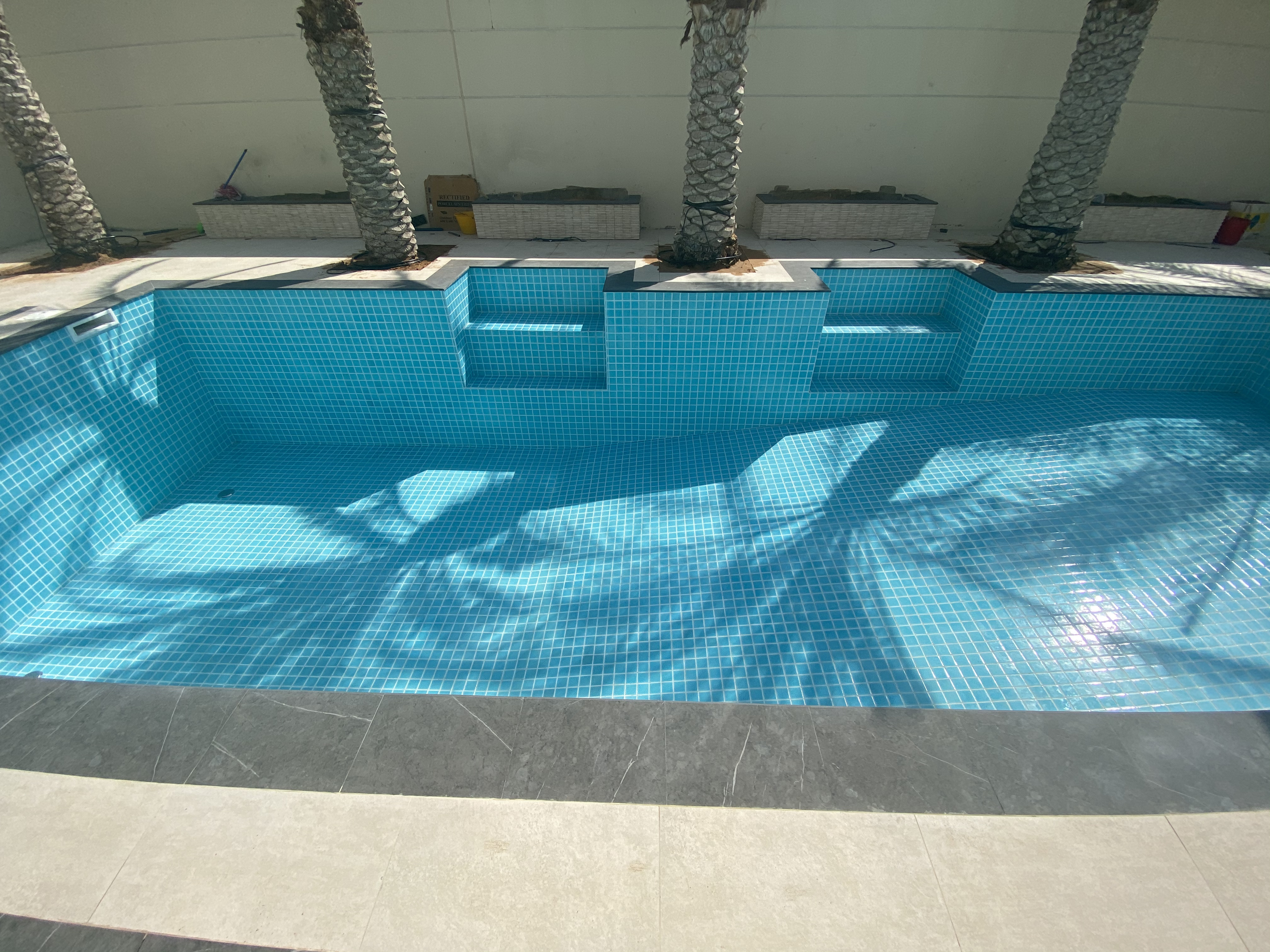 Skimmer Pool