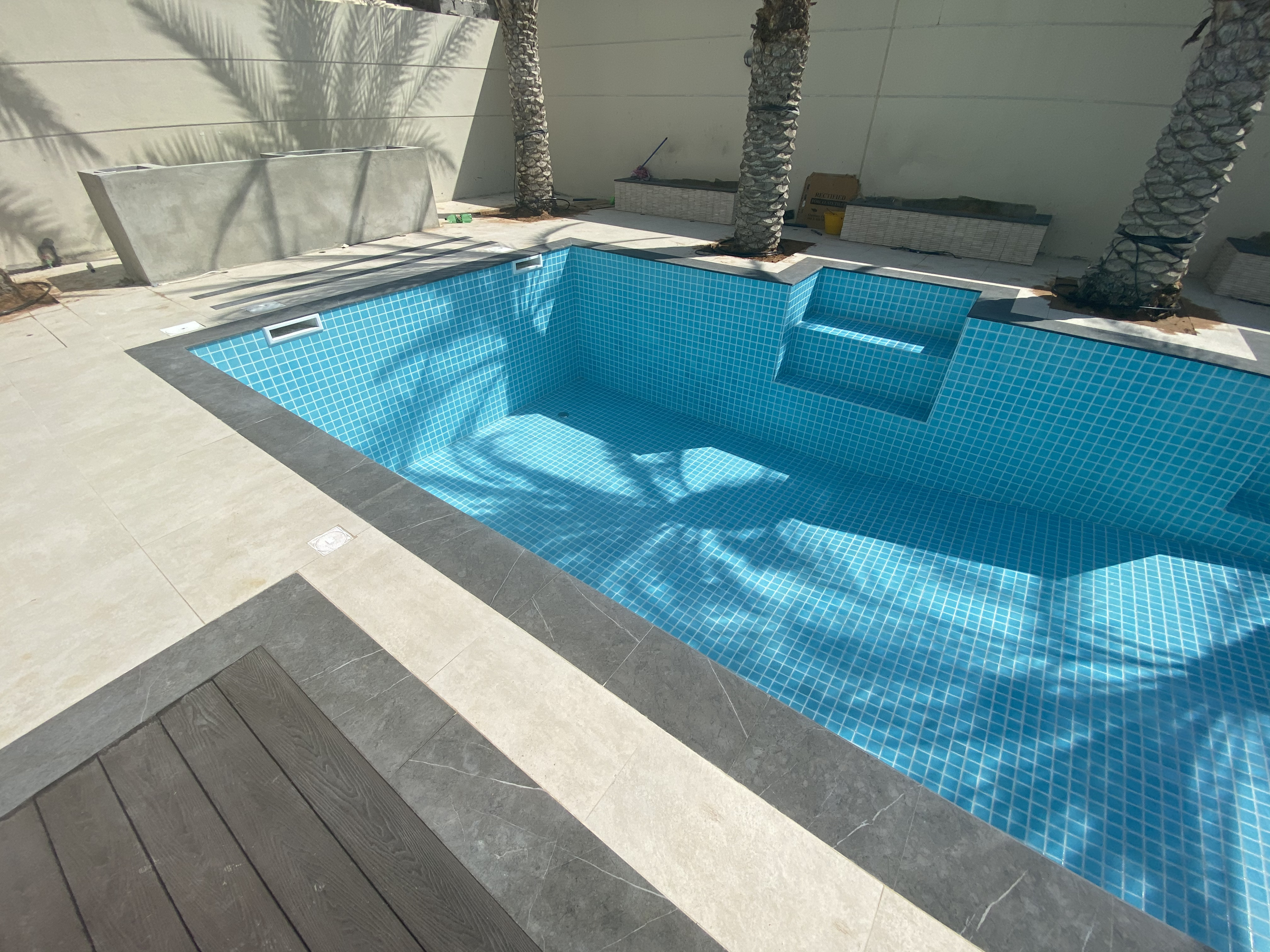 Skimmer Pool