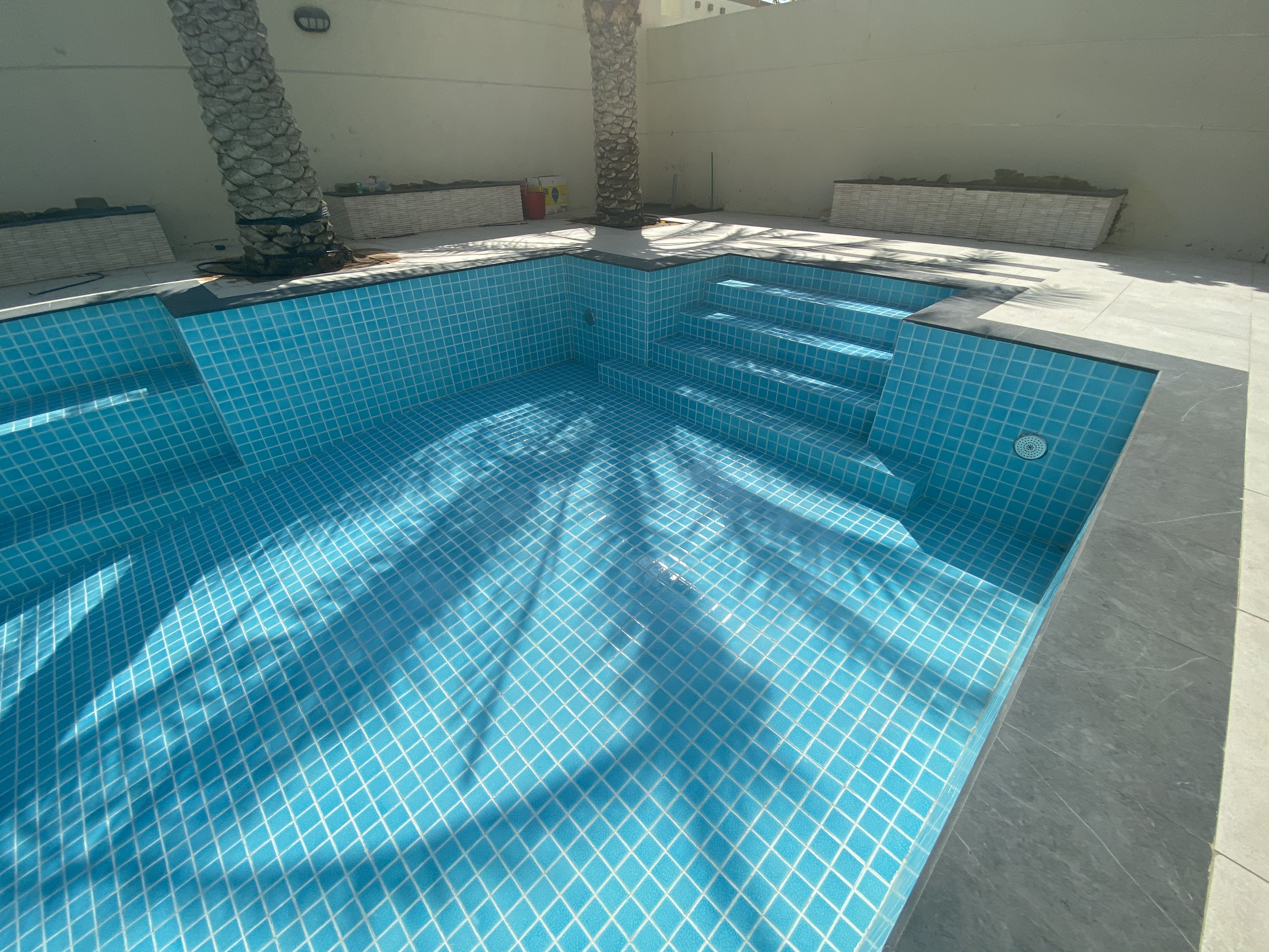 Skimmer Pool
