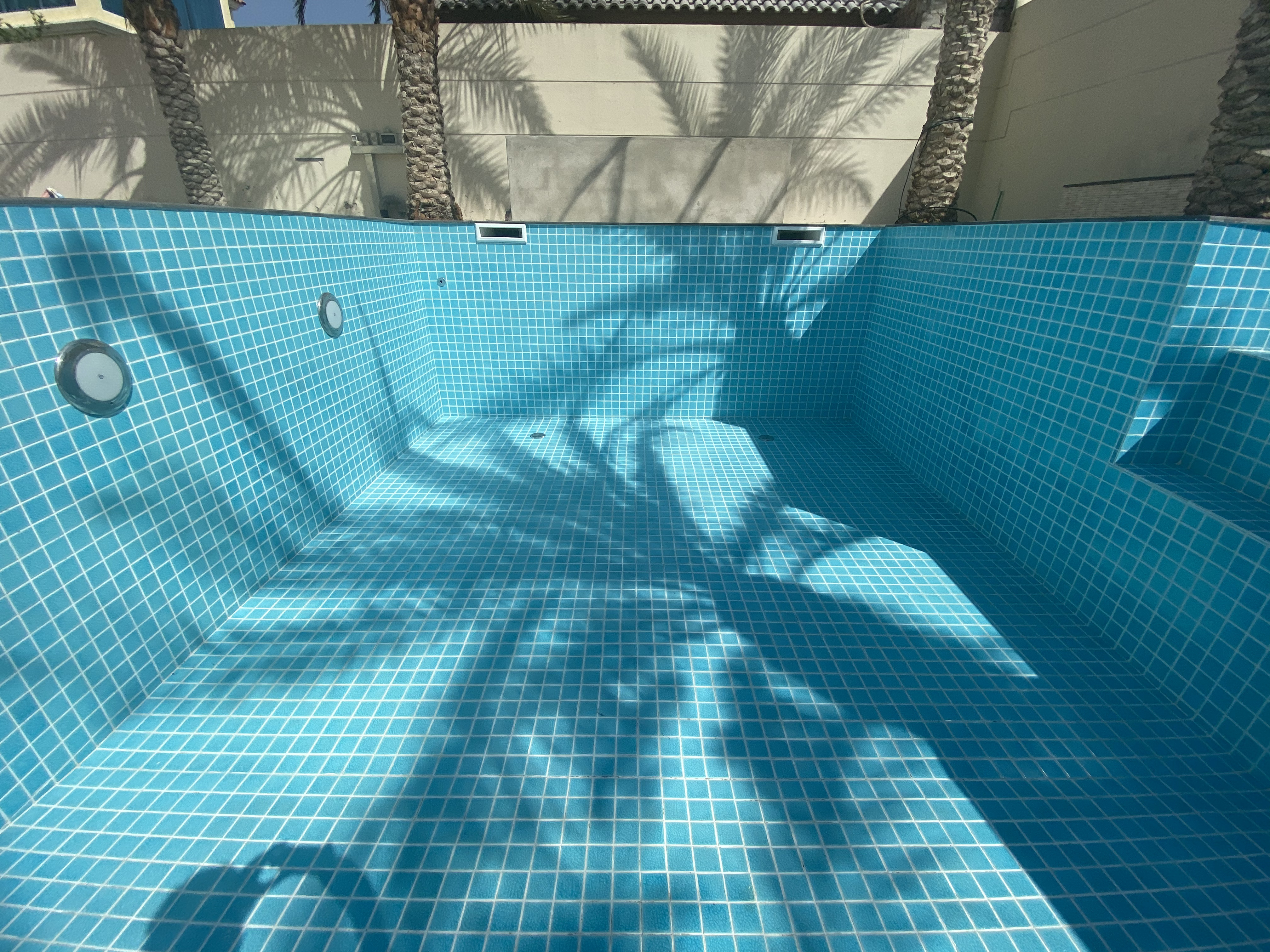 Skimmer Pool