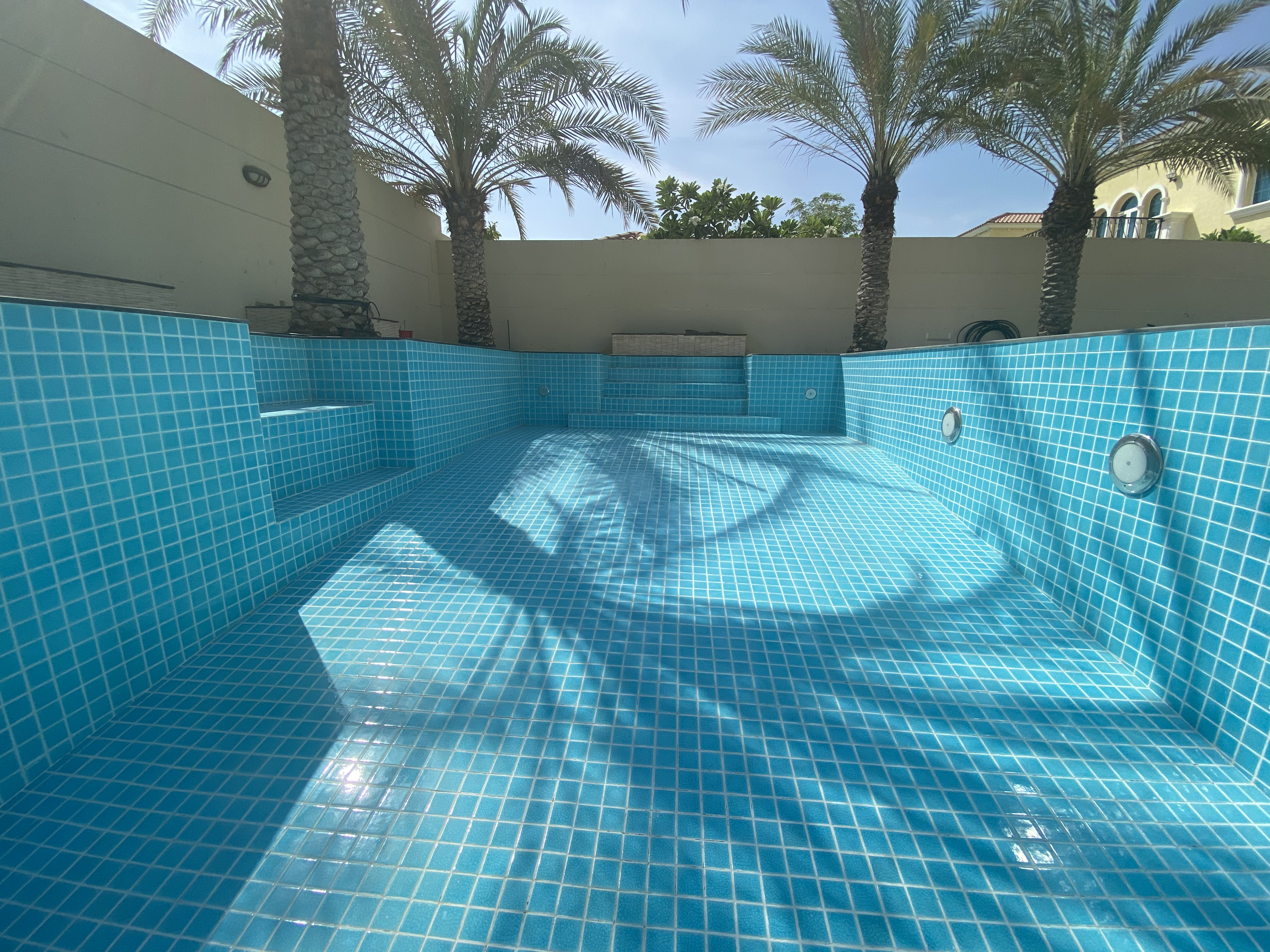 Skimmer Pool