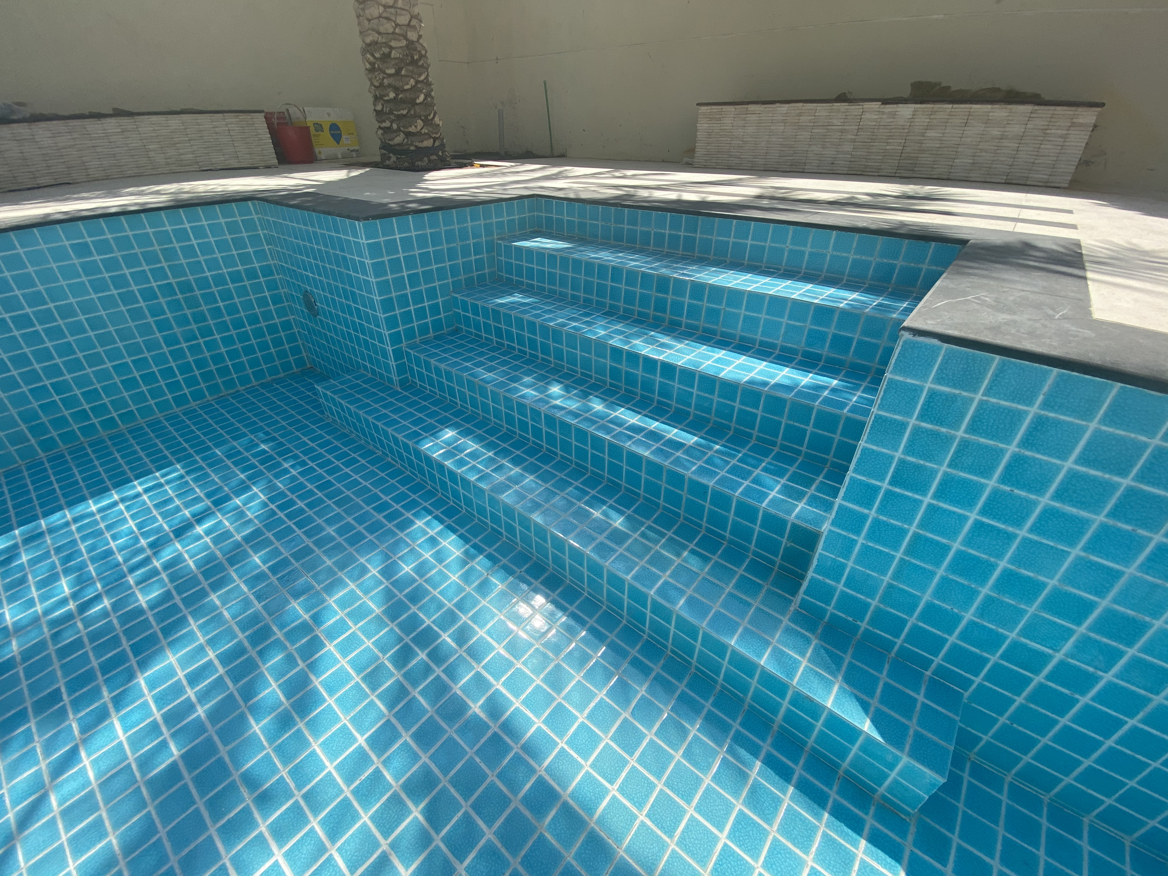 Skimmer Pool